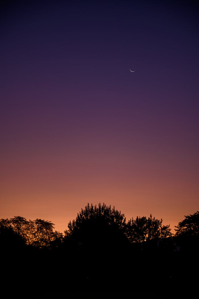 A tranquil twilight sky with a crescent moon above silhouetted trees.